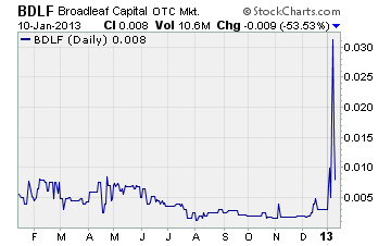 Broadleaf Capital Partners