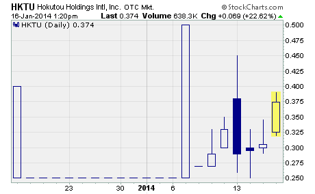 Hokutou Holdings International