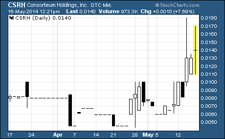 Consorteum Holdings