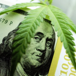 5 Cannabis Stocks With “Lit” Growth Prospects