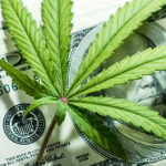 4 Marijuana Stocks To Buy For The Big 2020 Rebound 4 Marijuana Stocks To Buy For The Big 2020 Rebound