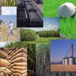 Commodity Roundup: How Are Commodities Holding Up?