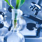 4 Top Biotech Stocks To Be Purchased On The Cheap