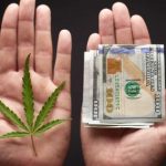 4 Marijuana Penny Stocks That Could ‘Double’
