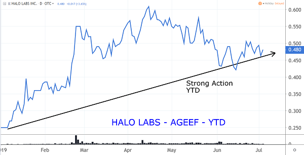 AGEEF Chart